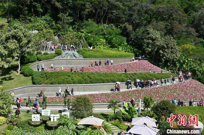 广东广州：欧博体育入口云萝植物园开园迎客(图3)