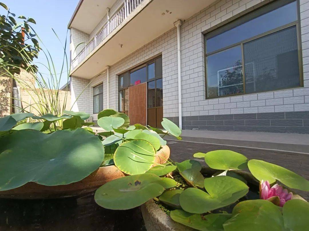 绘和美画卷 展幸福生活 晋中市美丽庭院示范户展播