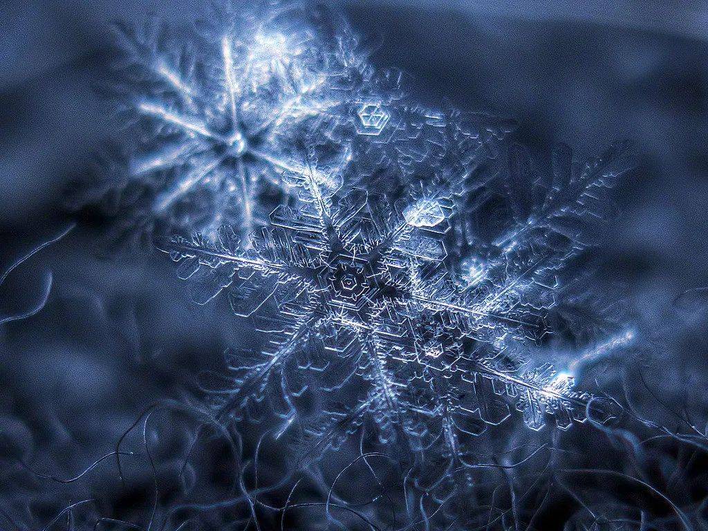 雪花放大一亿倍图片