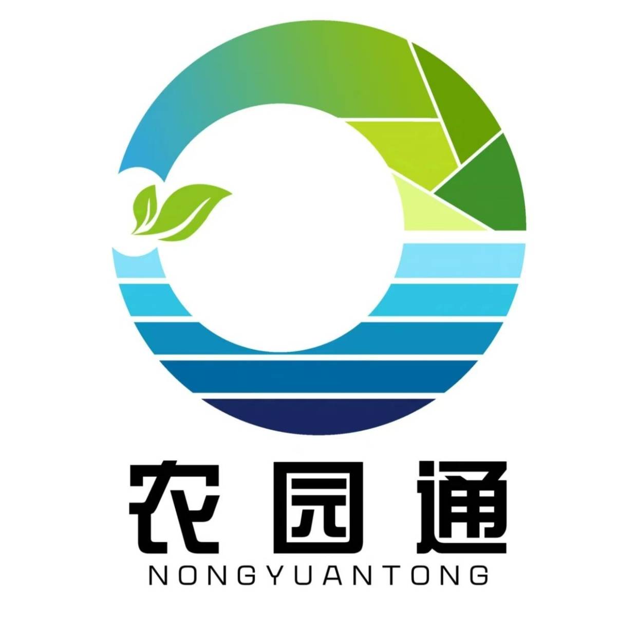 最新!高淳区“十四五”发展规划解读来了!_生态