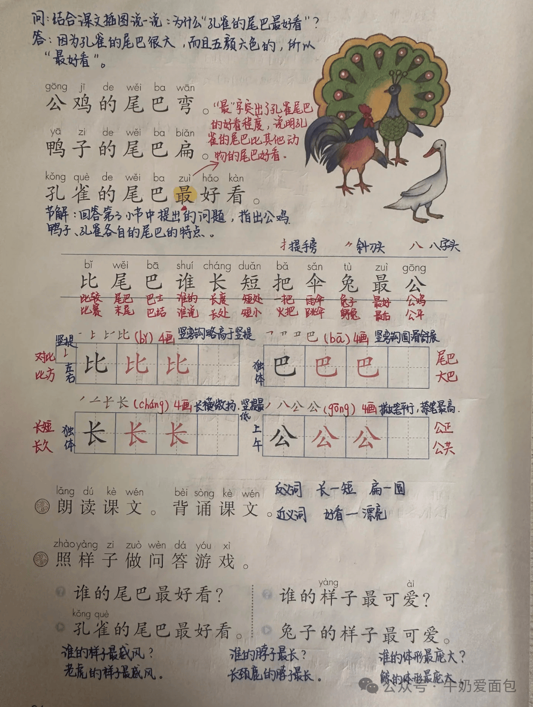 比尾巴原文图片