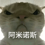 熊猫头歪嘴表情包图片