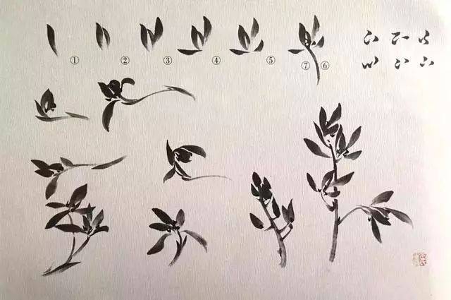 国画兰花绘画的技法，你知道哪些？最全的兰花教程，不容错过！