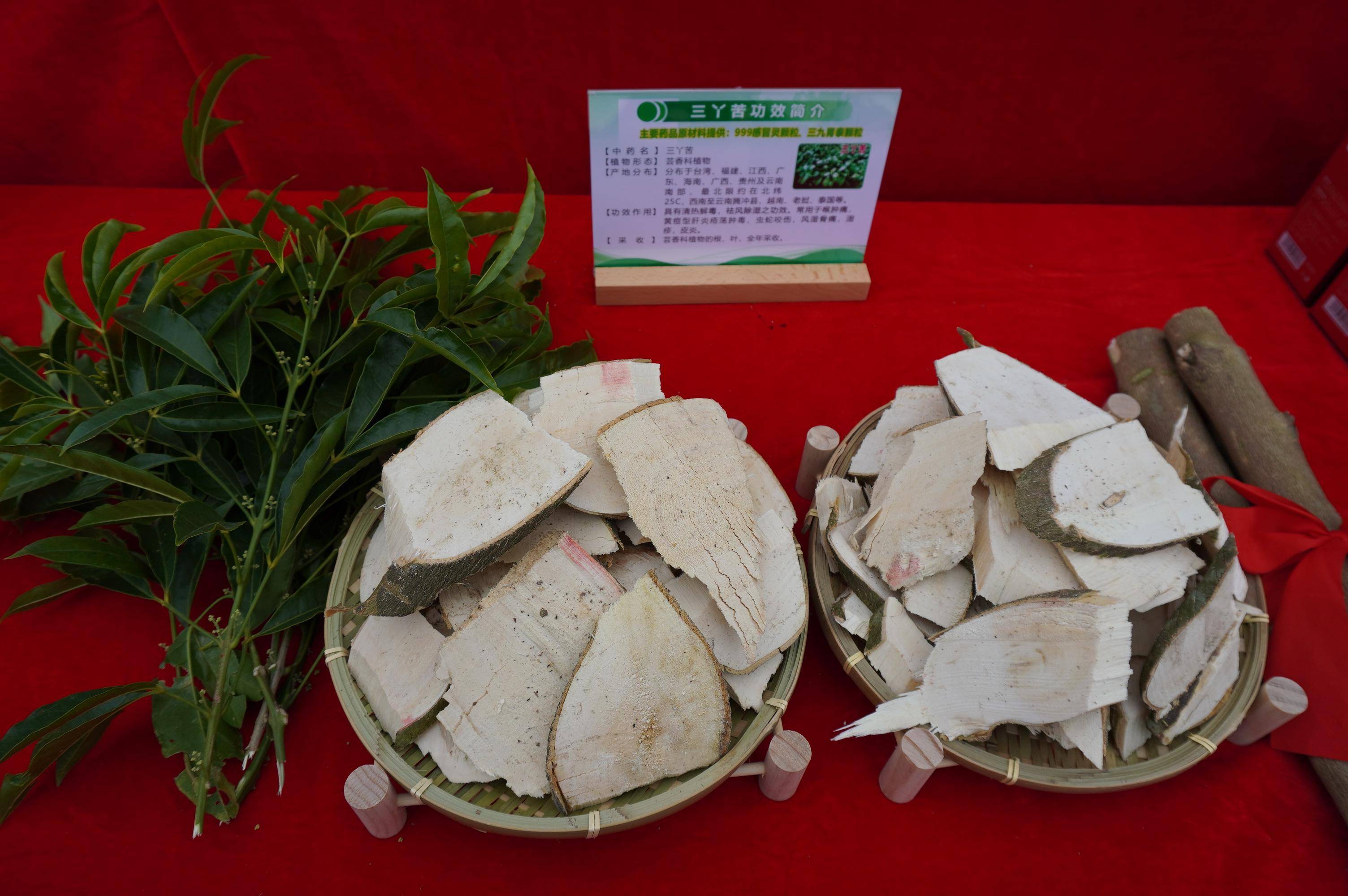 万亩南药迎丰收,罗定市举办南药发展交流暨