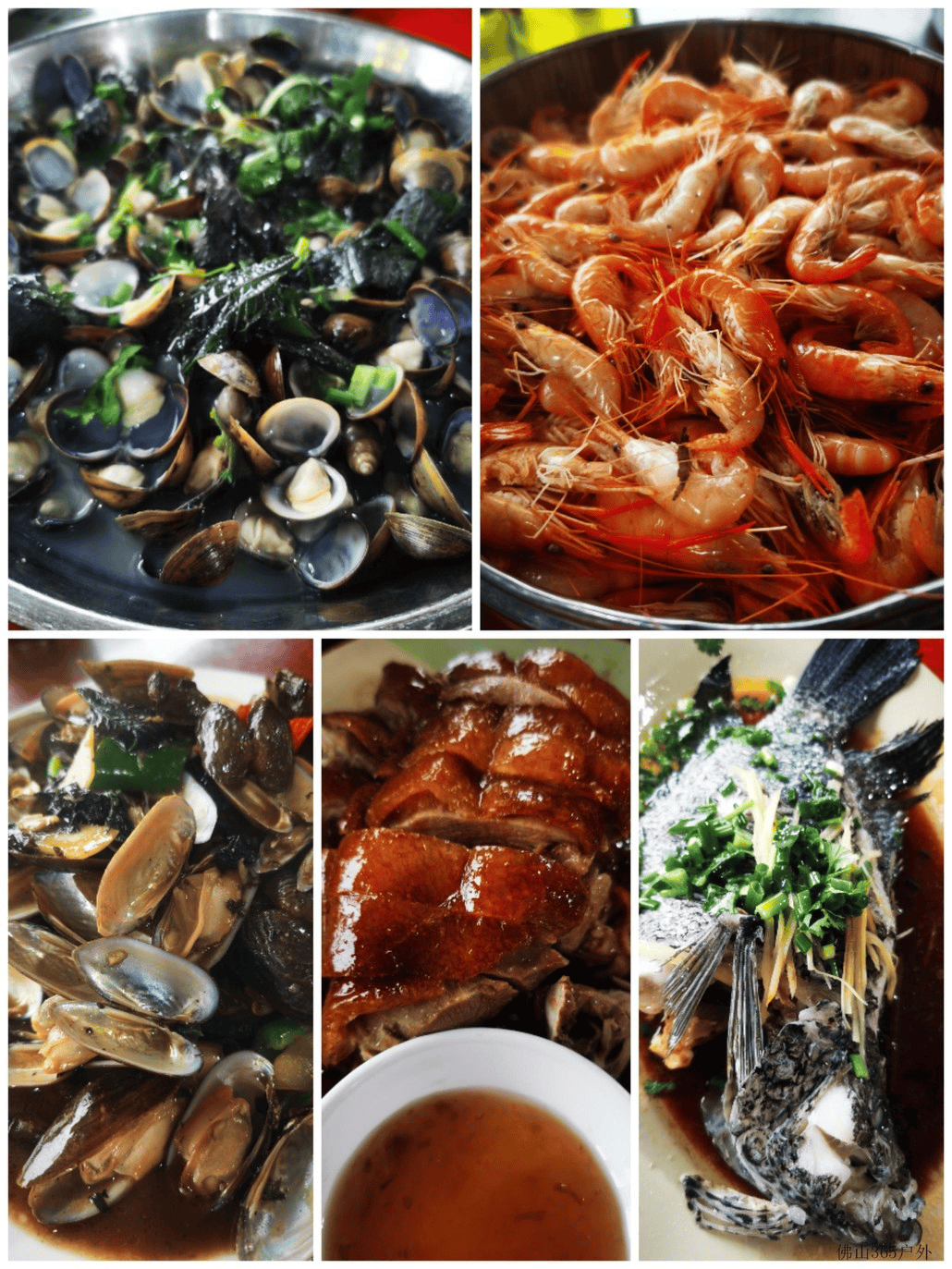 12月29日周日 挑战三水第一峰 品尝北江河鲜美食