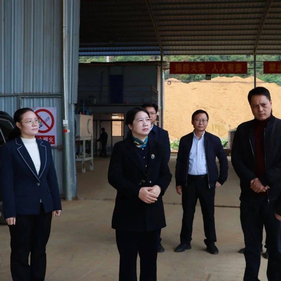 李红兰到驮卢镇开展人大代表联络站活动_江州区_群众_问题