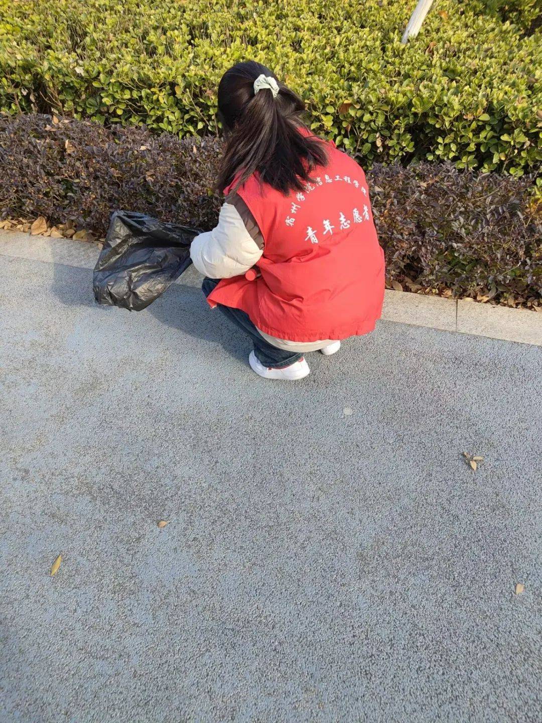 乐湖公园志愿者活动圆满结束:让爱心与自然同行