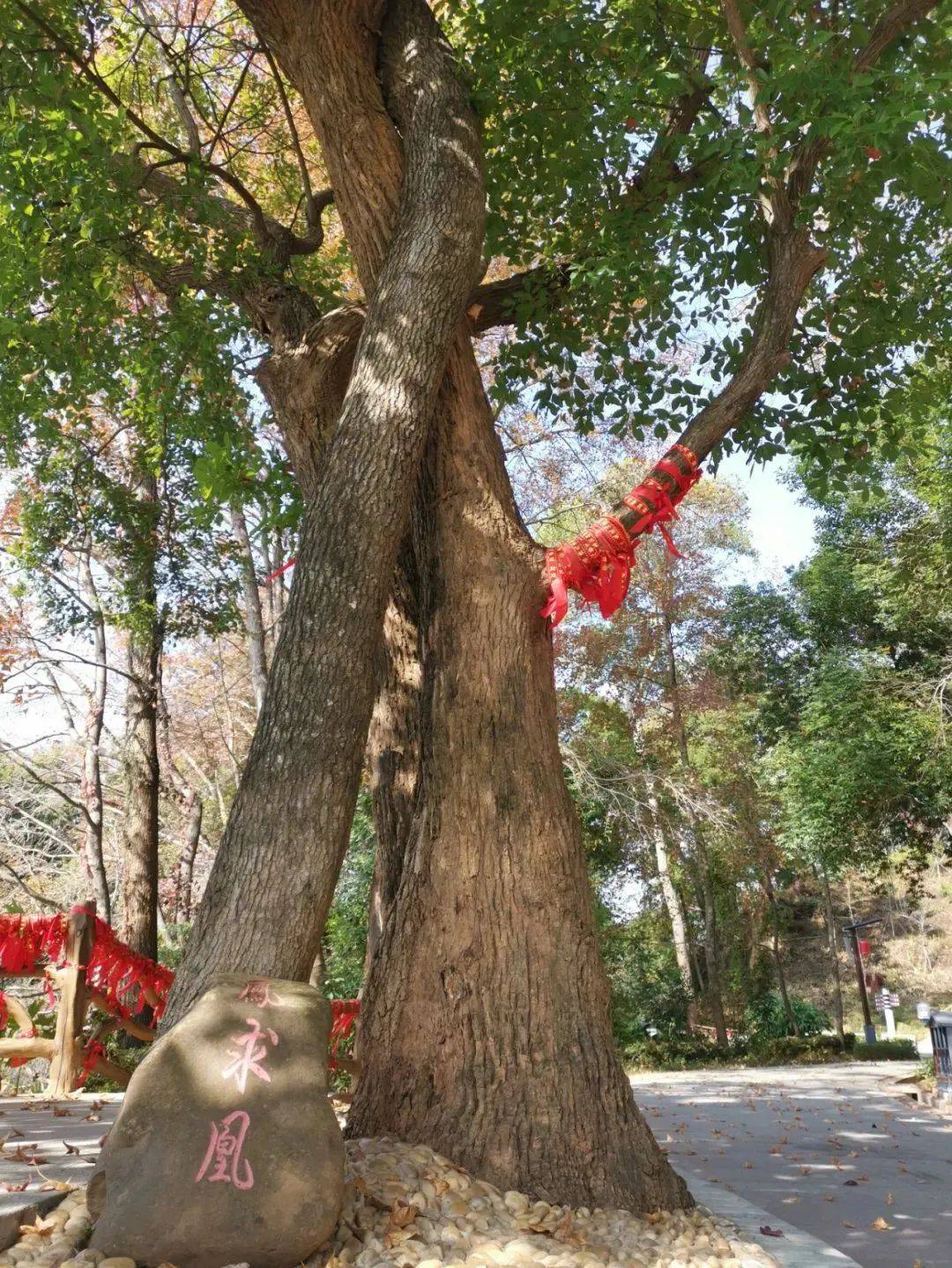 爱情氧吧