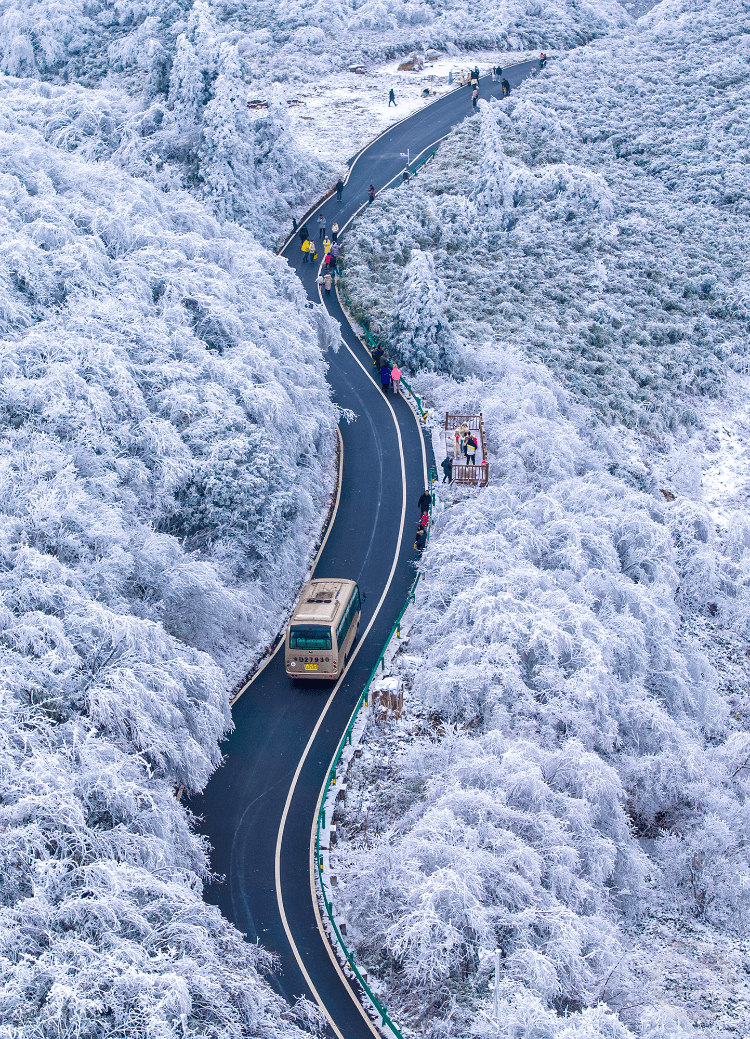 重庆金佛山看雪图片