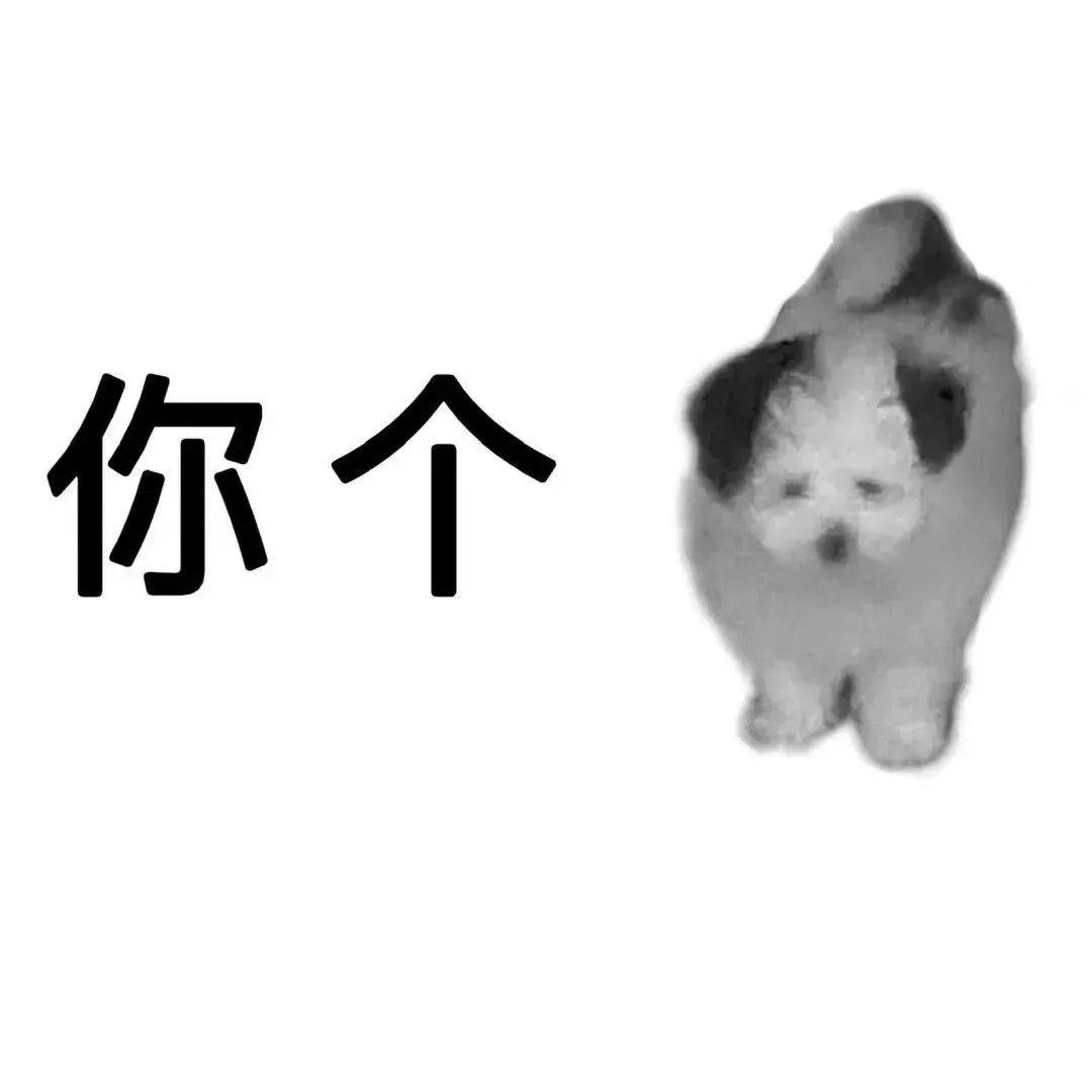 神仙情话，藏于表情包中的温柔与深情？