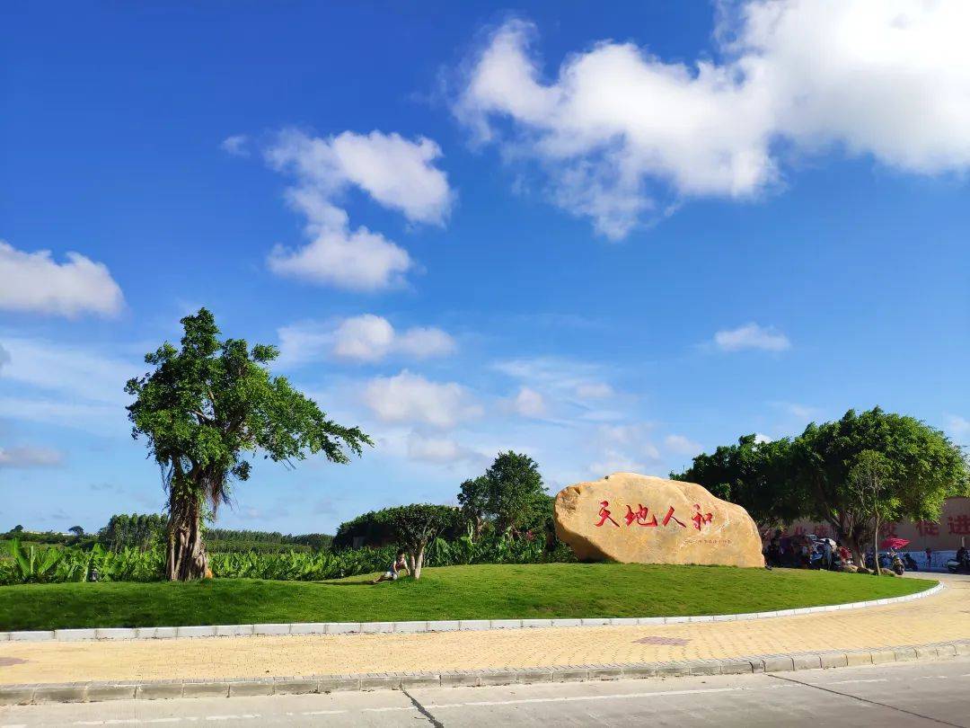 吴川这条村有大变化!