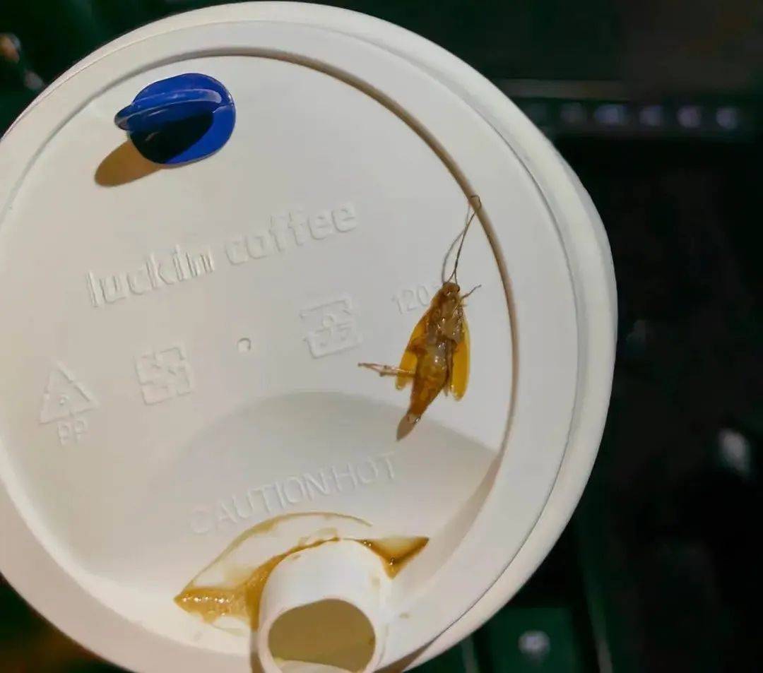 瑞幸咖啡喝出疑似“蟑螂”异物:消费者向当地12315进行投诉(图5)