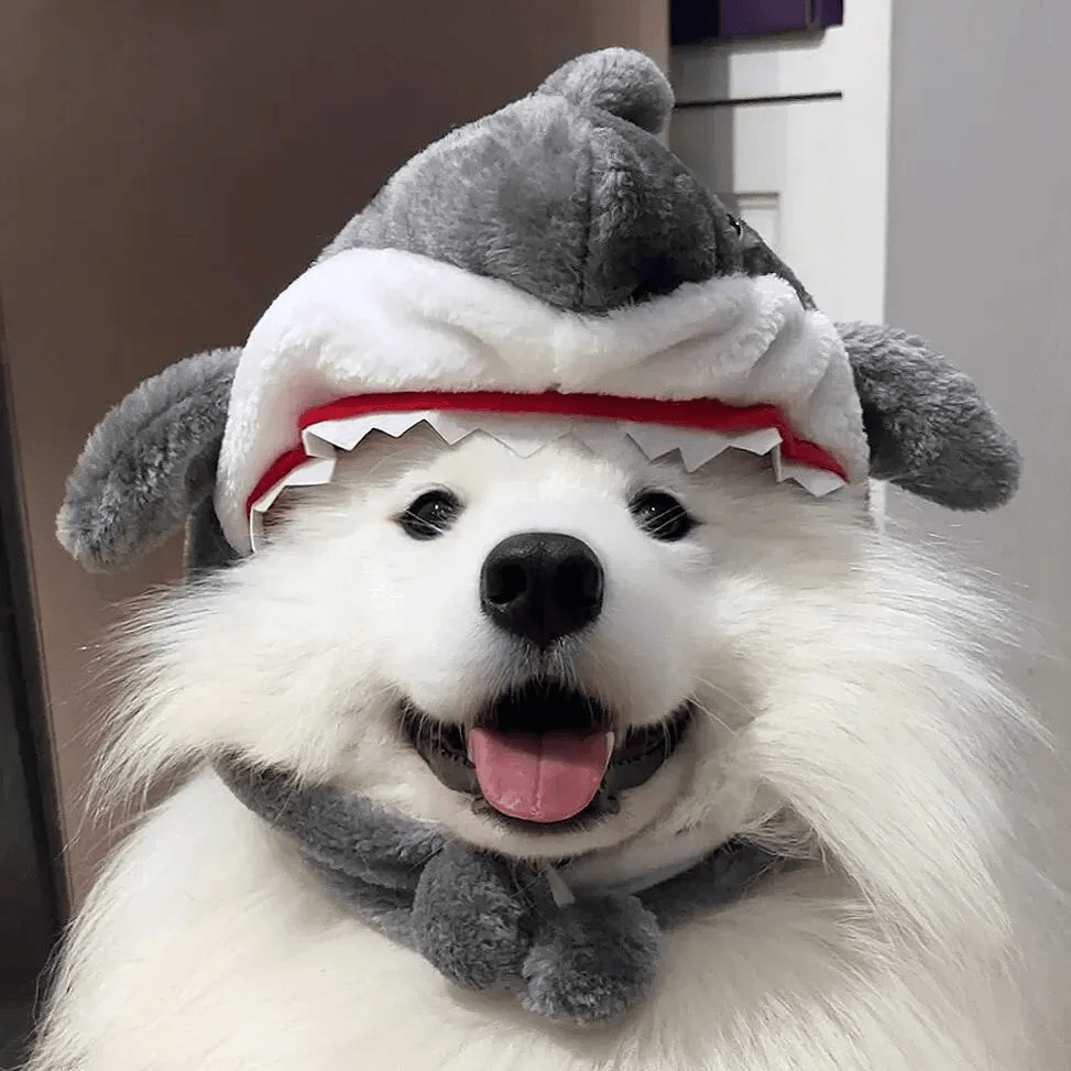 头像 | 阳光小众头像​