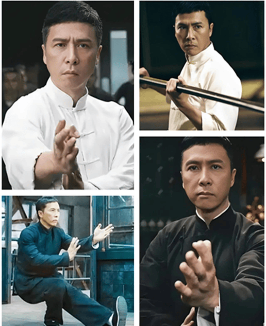 甄子丹_叶问_武术