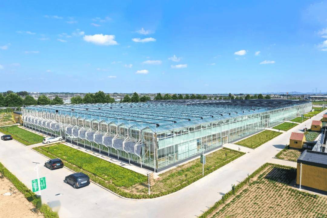 数字农业典型应用场景:9000亩设施蔬菜数字生产示范园!