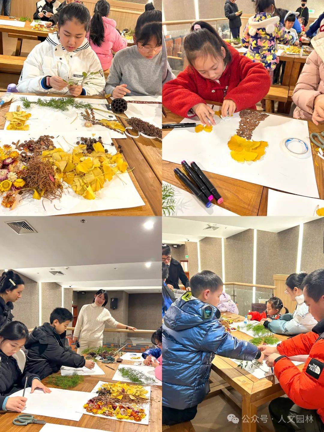 人文科普 萧博士科普迎美嘉体育app新第一站：杏运有你共赴冬至之约(图4)