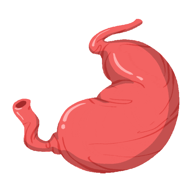 640_640gif 动态图 动图