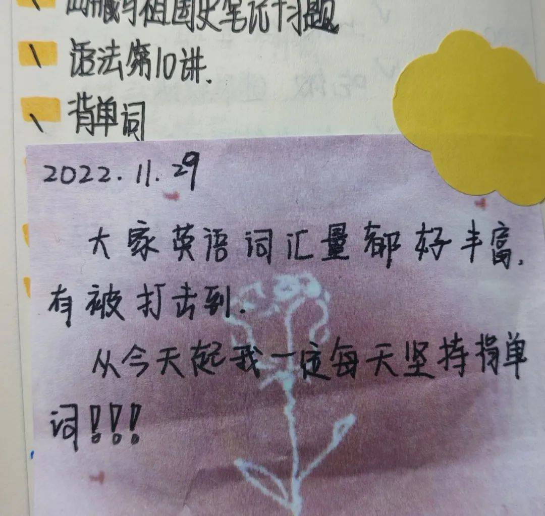 flag单词怎么读音(flag怎么读音发音英语怎么说)