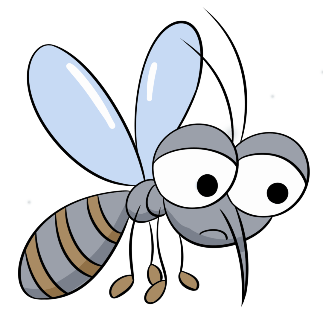 越冬蚊可能携带病原体,对人类健康构成威胁