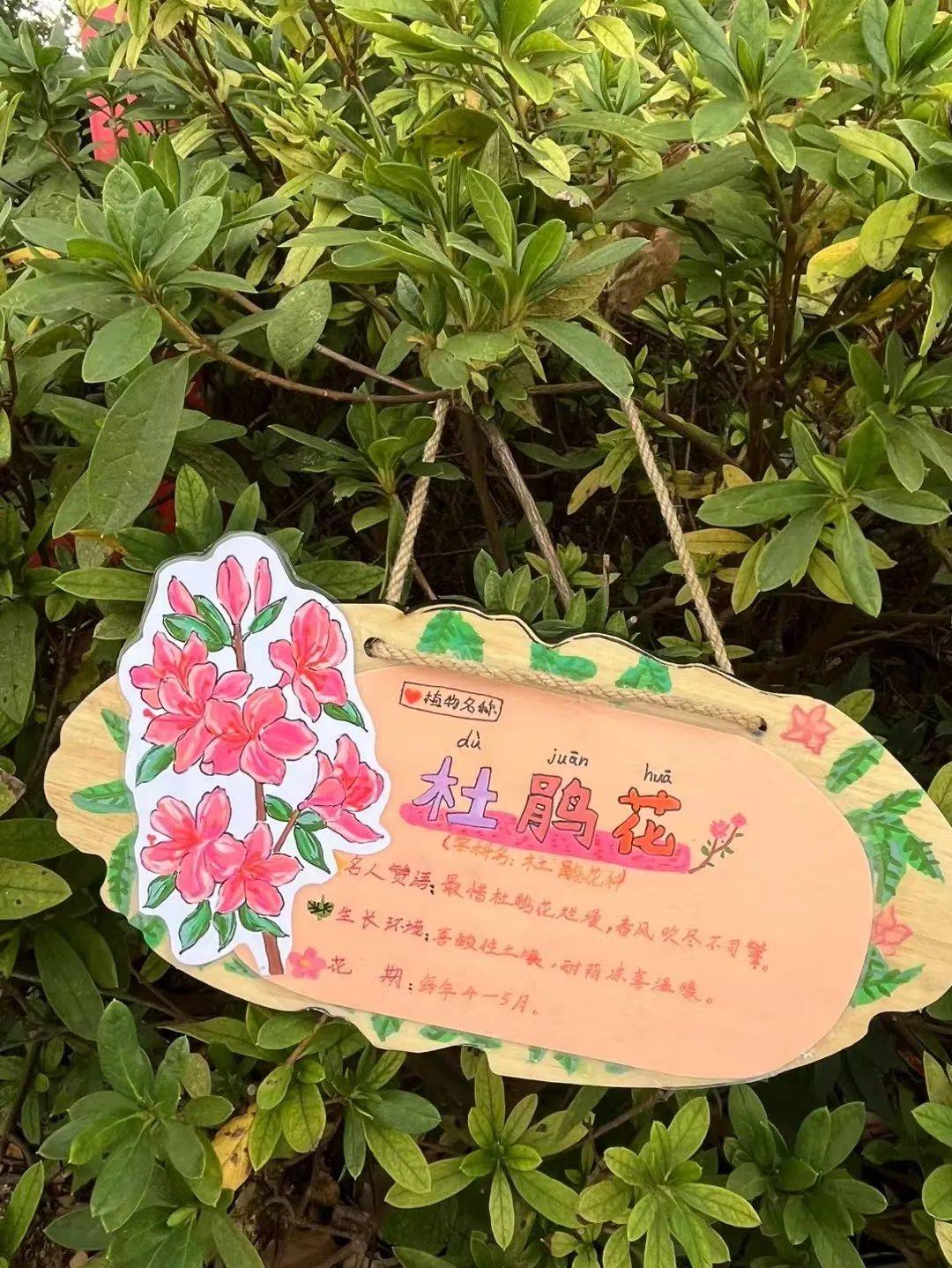 植物花牌制作图片