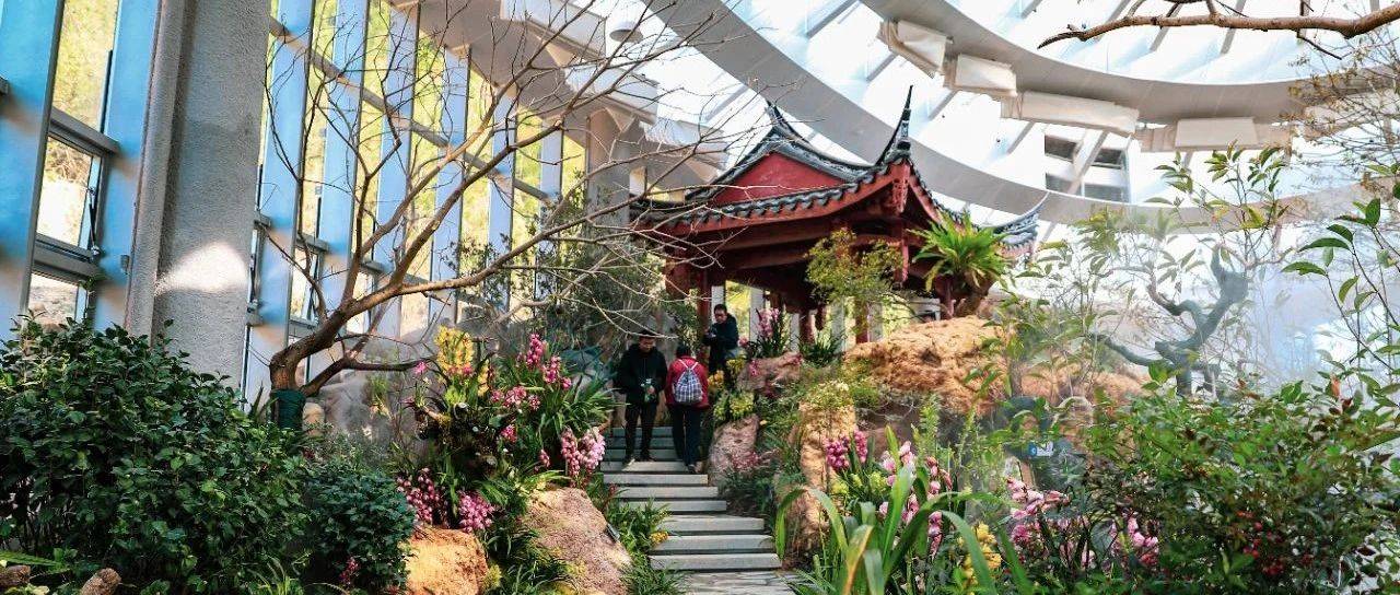 今日开园！福州又添一网红新地标！_植物园_兰花_市民