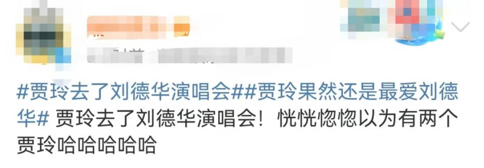 賈玲去看劉德華跨年演唱會，網(wǎng)友懵了：兩個賈玲？