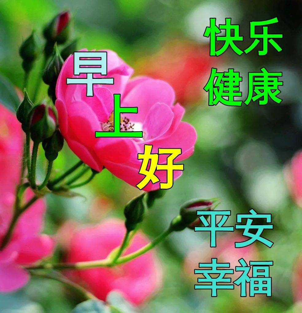 1月6日最漂亮早上好动态表情图片大全,早晨好动图美图大全