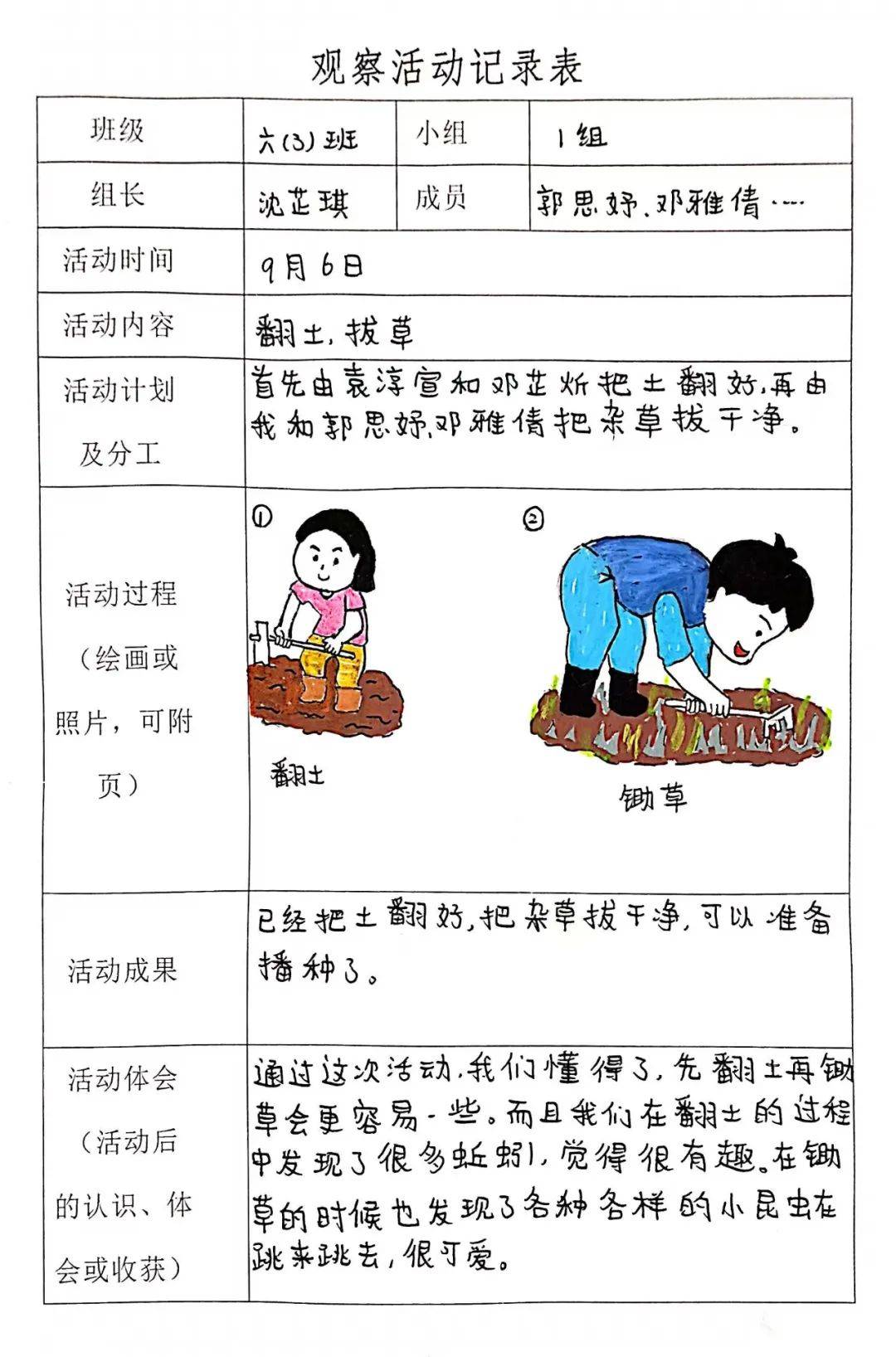 小学生劳动实践过程简述