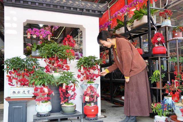 广州荔湾开启水陆花市盛宴“双花篮”将亮相传统迎果博app春花市｜聚“……(图8)