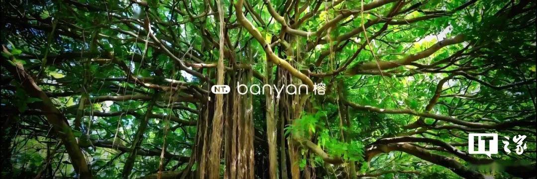 117 项功能新增及优化，蔚来智能系统 Banyan 榕 3.1.0 开启推送