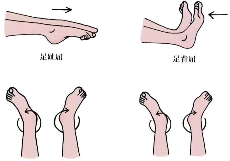 膝关节置换术后,功能锻炼知多少?