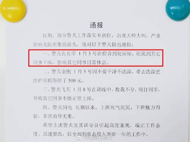 “上班死气沉沉，下班活力四射” 云南一地警犬被通报批评