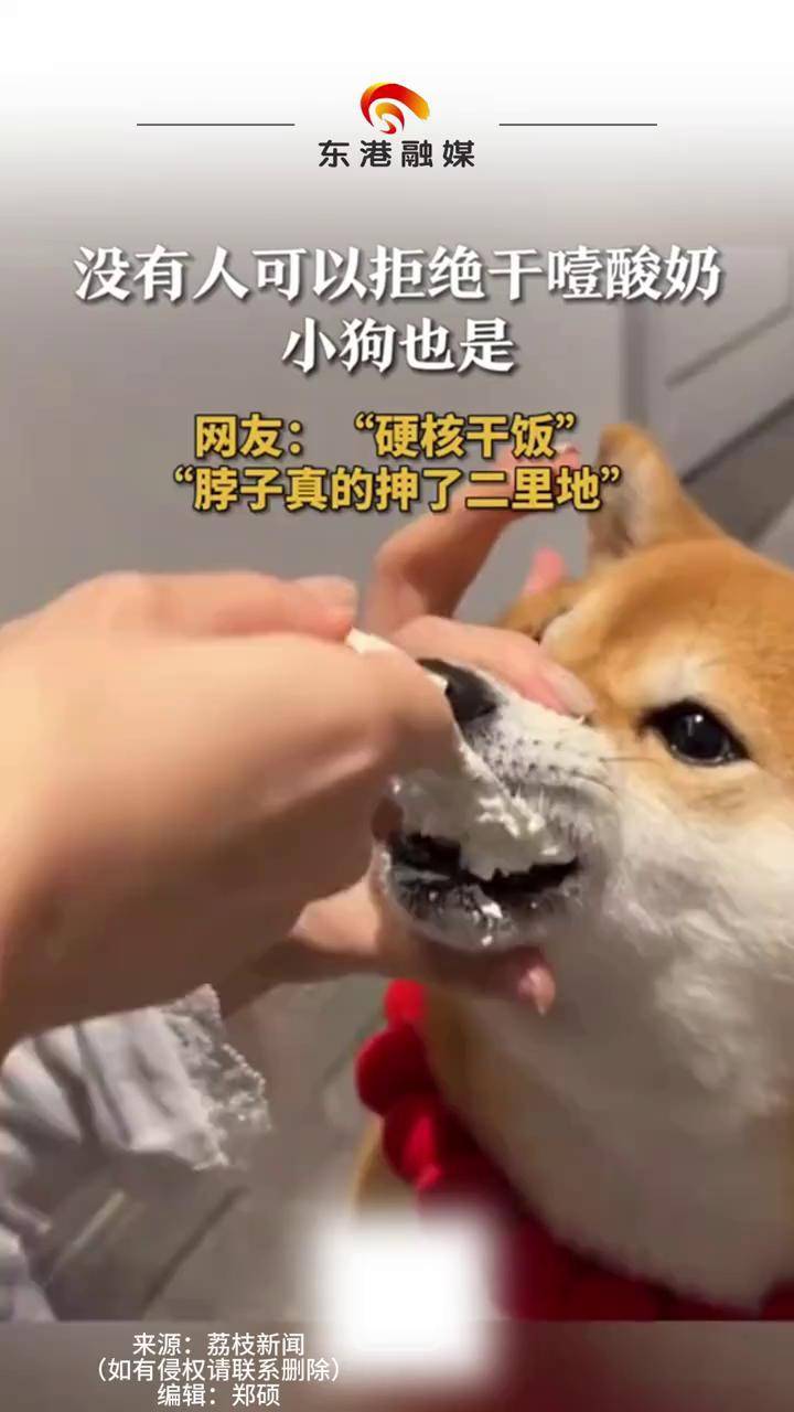 柴犬手指表情包图片