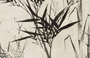 元 顾安《新篁图轴》_元代_艺术_画面