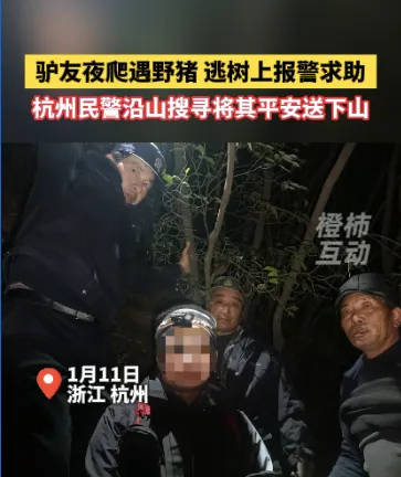 “我現(xiàn)在在樹上，野豬在下面……”杭州一男子深夜報警！