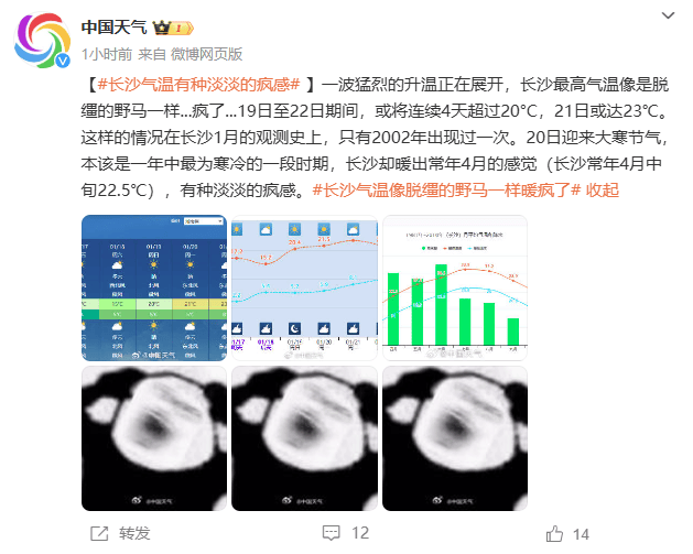 長沙氣溫像脫韁的野馬一樣暖瘋了！預(yù)計將連續(xù)4天超20°C！