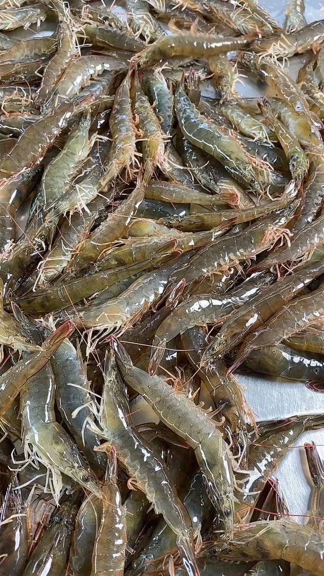 买虾时,要选"直虾"还是"弯虾"?区别很大,千万别买错