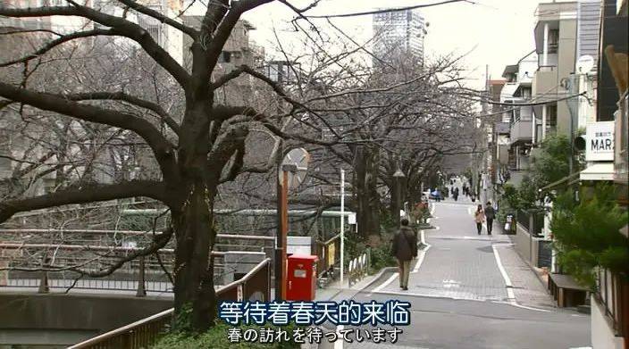 文章配图-2