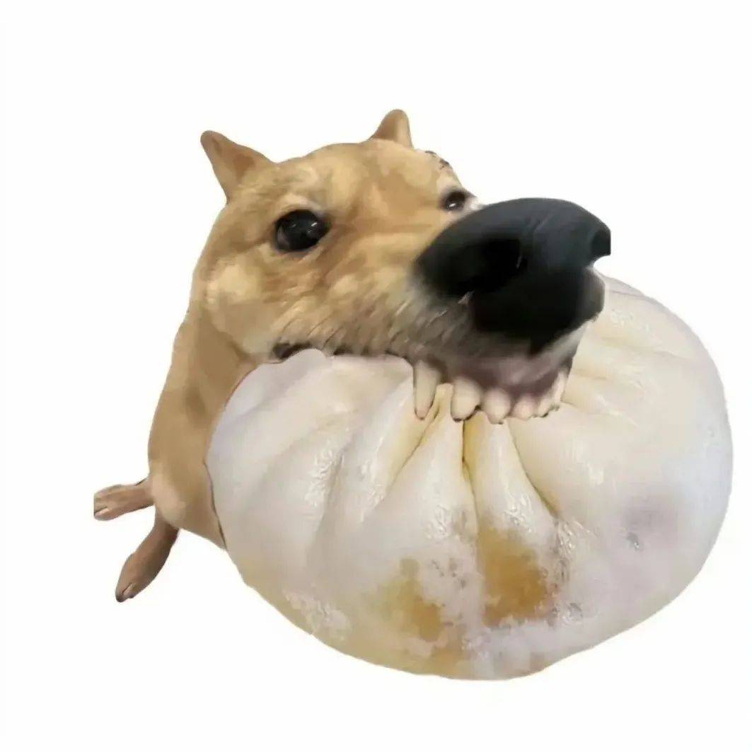 搞怪狗狗表情包