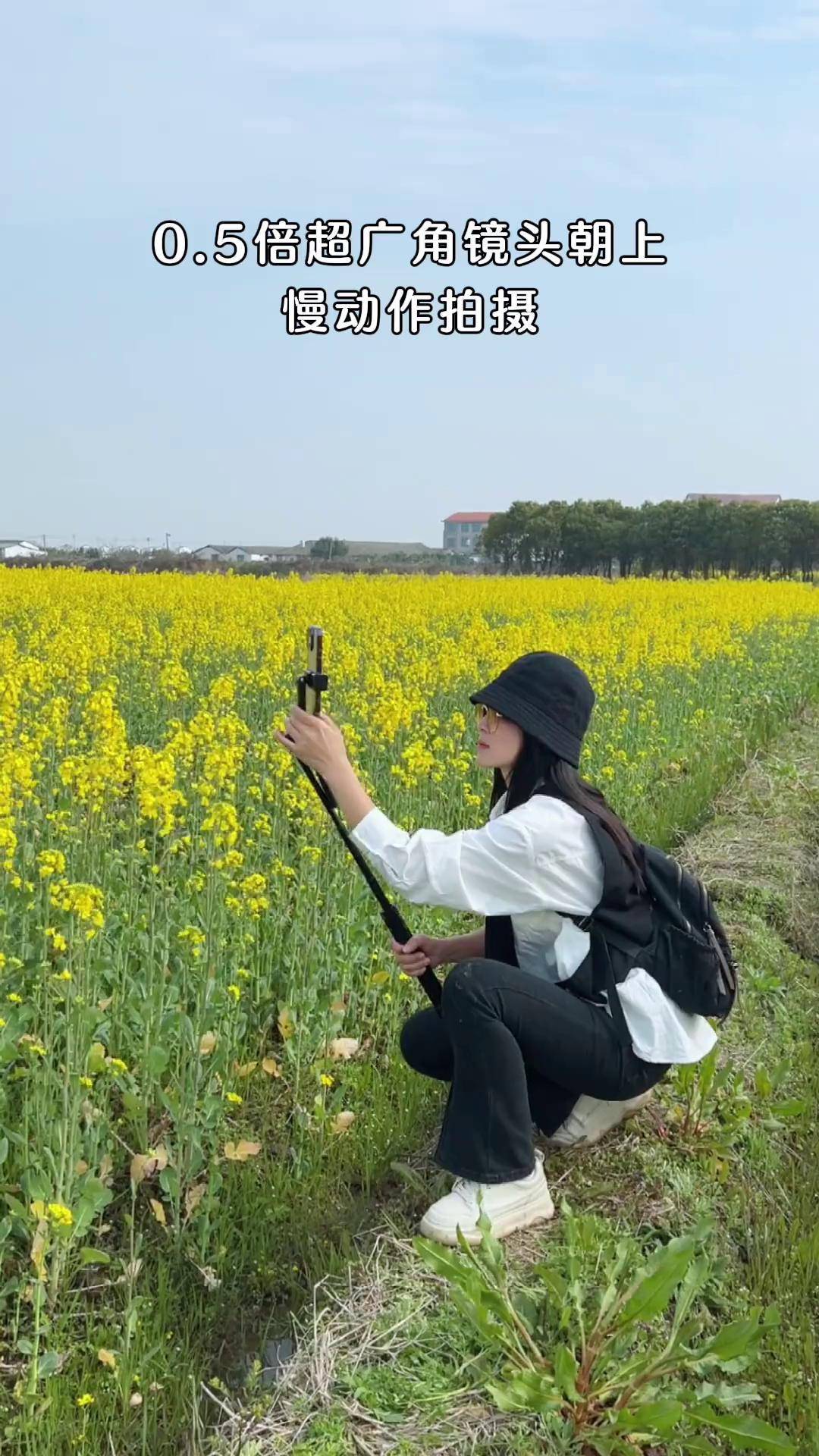 如何拍好油菜花照片图片