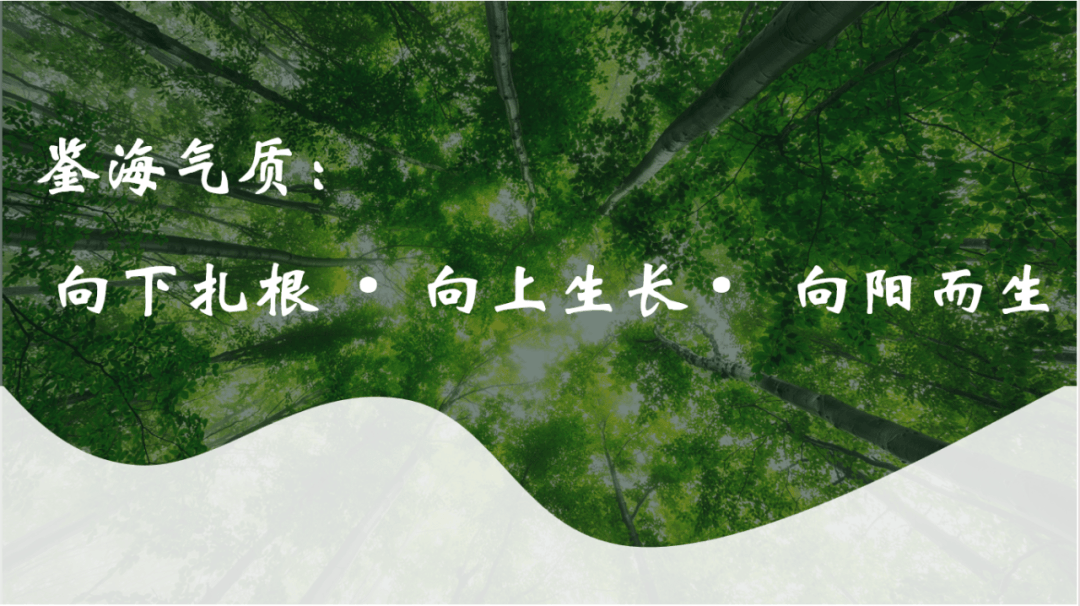 向下扎根,向上生长,向阳而生!45张图带领了解鉴海气质!