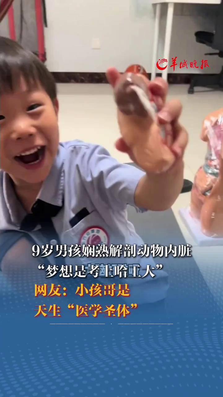9岁男孩娴熟解剖动物内脏 "梦想是考上哈工大" 网友:小孩哥是天生"