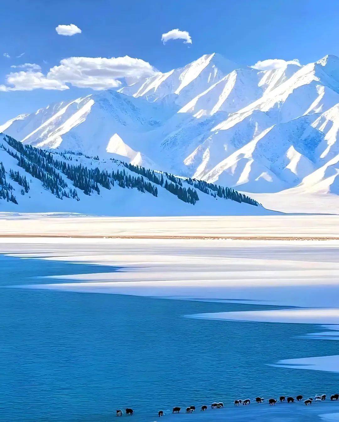 的透彻,峡谷的迂回,鲜榨石榴汁的红,冬日来新疆,可以看到冰山的高耸