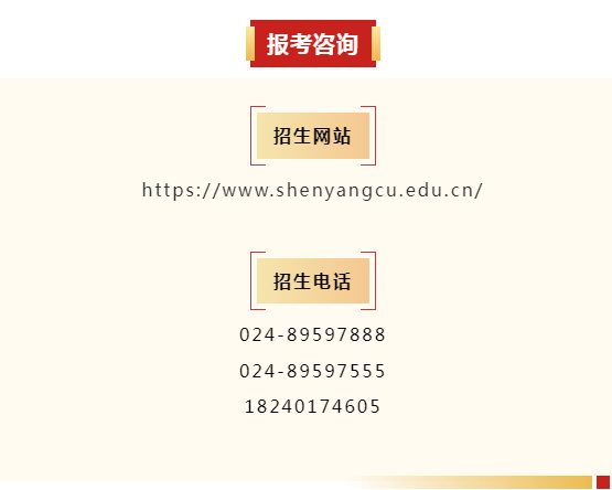 沈阳城市学院2025年艺术类招生简章