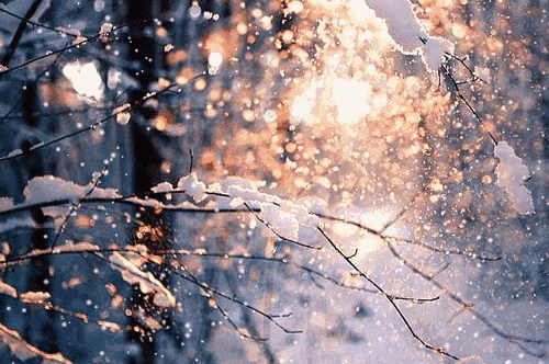 天津雪情有變！