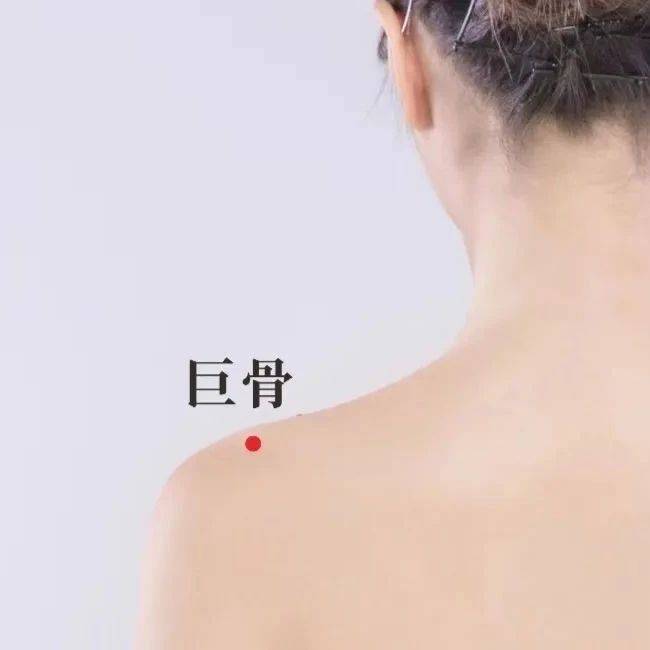 【每日一穴】之“巨骨穴”_经水_锁骨_穴位