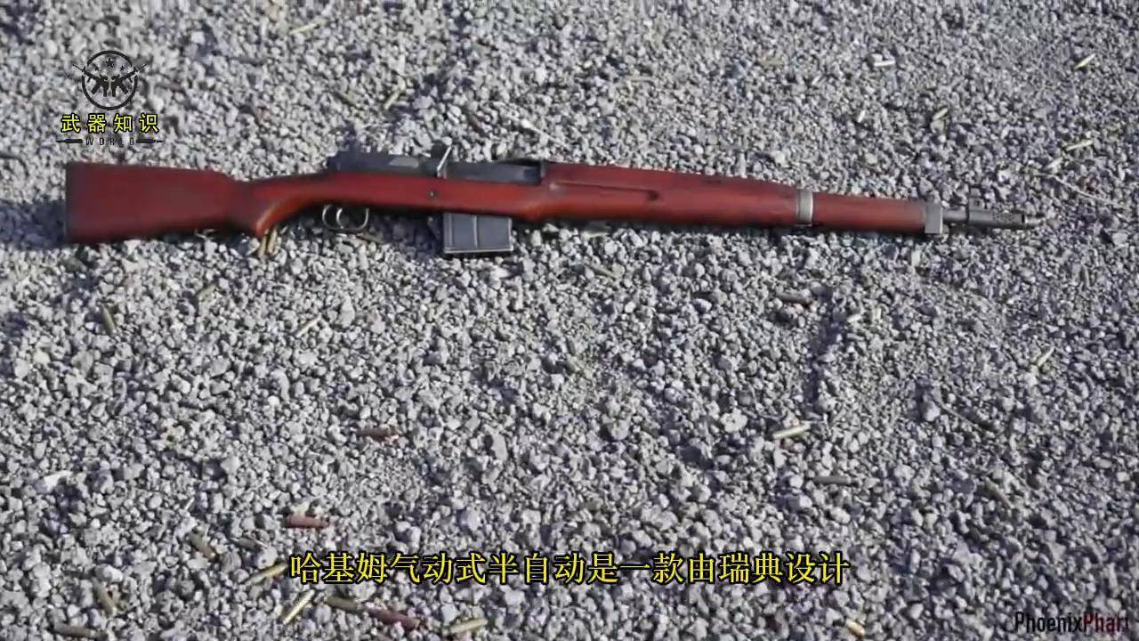 注意看射击时会卡弹 瑞典ag42的改良版 埃及哈基姆半自动步枪 武器