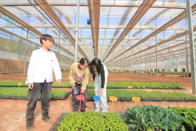 IN视频|广东省少年儿童发明奖评选活动优秀作品展(深圳分会场)在光明区举行 IN视频|广东省少年儿童发明奖评选活动优秀作品展(深圳分会场)在光明区举行