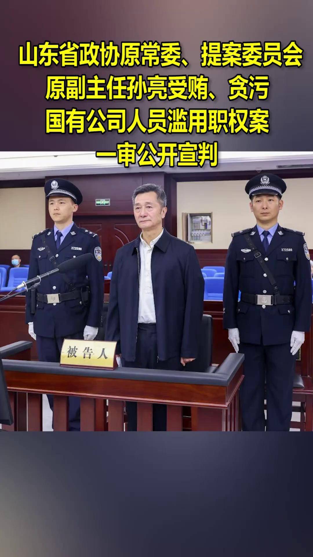山东省政协原常委,提案委员会原副主任孙亮受贿,贪污,国有公司人员