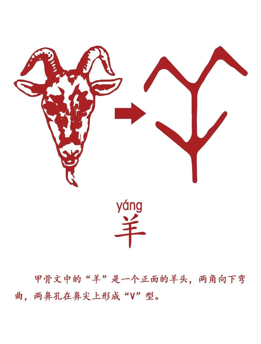 甲骨文中的十二生肖